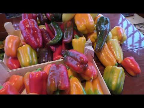 Видео: Семена почтой Распаковка Что купила в Фикс Прайсе