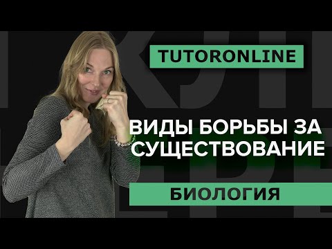 Видео: ВИДЫ БОРЬБЫ ЗА СУЩЕСТВОВАНИЕ