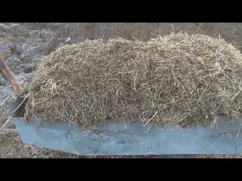 Видео: СЕНАЖ В ЛПХ! СУПЕР КОРМЛЕНИЕ!