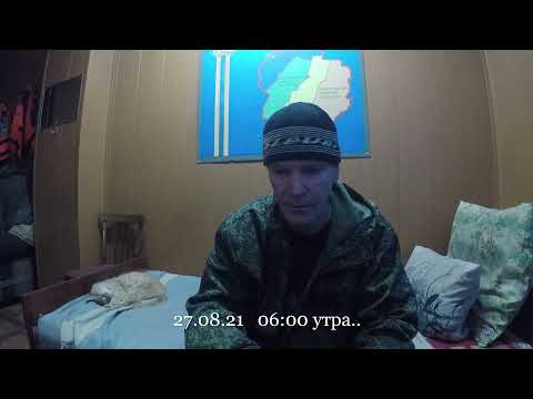 Видео: # Эпизод 52 (27.08.21) "Грибники"😠 и "Рыжий"🙂