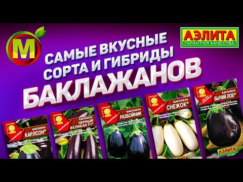 Видео: Самые Вкусные Сорта и Гибриды Баклажанов 2021