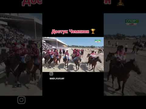 Видео: #достук #horse #кокбору #ынтымак #финал