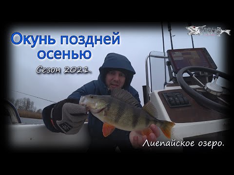 Видео: Окунь поздней осенью. Дропшот. Лиепайское озеро 2021.