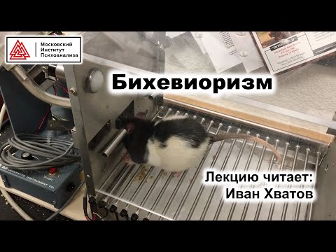 Видео: 05. Бихевиоризм