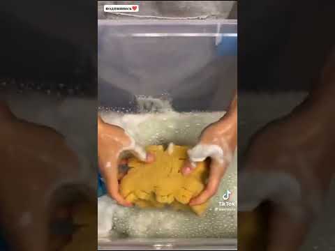 Видео: Губки+истории