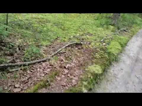 Видео: ЛИЧНОЕ + прощание с ютубом