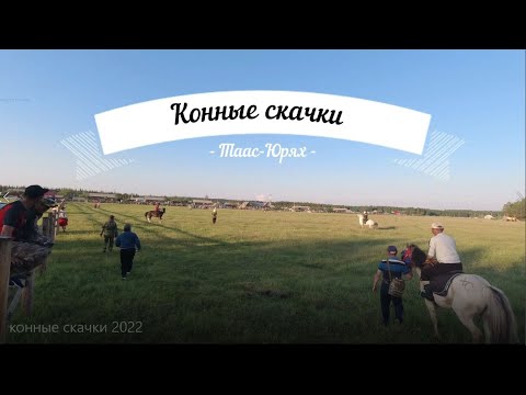 Видео: Конные скачки с.Таас-Юрях 02.07.2022г.