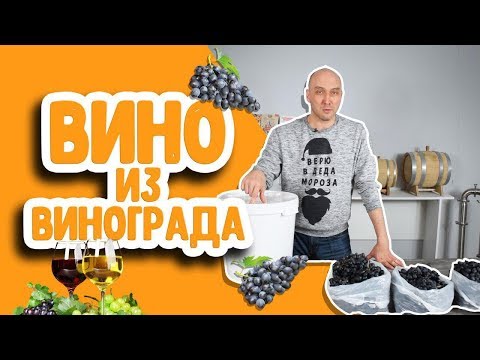 Видео: Как сделать домашнее вино из винограда? Простой рецепт вина в домашних условиях!
