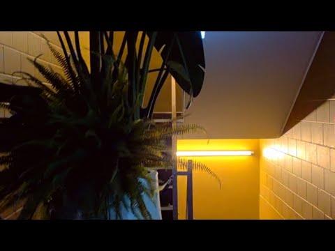 Видео: #dobbi&finnishlive  🇫🇮  -  🇸🇮. Между прошлым и настоящим .