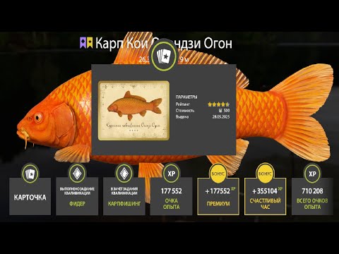 Видео: ПРОВЕРЯЕМ ФАРМ СЕРЕБА и КОИ на МЕДНОМ и ЗА КРУПНЯКОМ ТРОЛЛИНГ на МОРЕ РУССКАЯ РЫБАЛКА 4 РР4