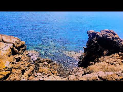 Видео: ФЕЛИКС ЗИГЕЛЬБАУМ: "УЗОР САЛАМАНДРЫ"