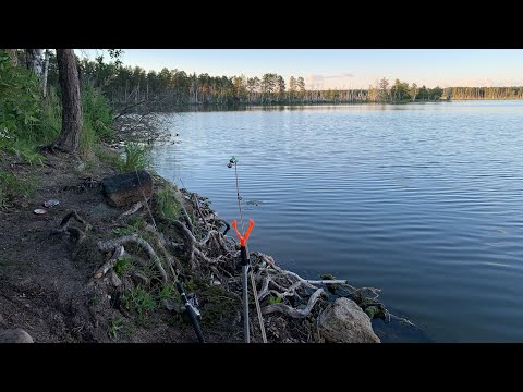 Видео: ЛОБАНОВО ОТДЫХ С ДРУЗЬЯМИ / ШАШЛЫКИ/ РЫБАЛКА ЛОБАНОВО