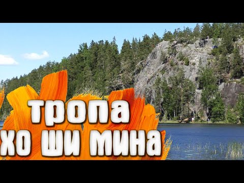 Видео: Тропа Хо Ши Мина / Кузнечное Ленинградская область