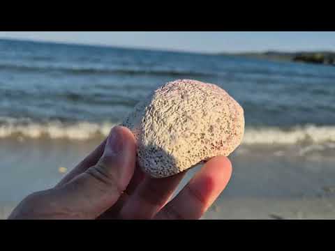 Видео: 3. Сардиния. Побережье, ракушки и гробница. Sardinia, Tomb.