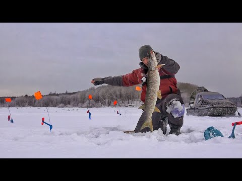 Видео: КТО БЫ МОГ ПОДУМАТЬ! РЫБАЛКА С НОЧЁВКОЙ ПРЕВРАТИЛАСЬ В ДИКИЙ ЖОР!  АЭРОЛОДКА, ПАЛАТКА, ЖЕРЛИЦЫ!