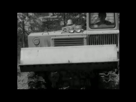 Видео: Комплексное видение хозяйства.Бисертский леспромхоз. 1981г. Часть2.