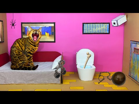 Видео: ДОМ ТЮРЬМА из картона для кошки 3 🐈 . ПОБЕГ из тюрьмы через ЛАБИРИНТ