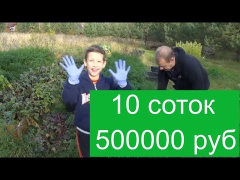 Видео: Бизнес с нуля в деревне - Морковь 1 Кв метр=10кг, 10 соток = 10000кг = 500000 руб.