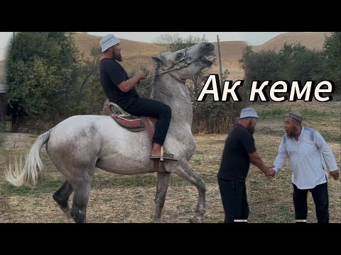 Видео: Ак кемени Жанторо ОЗУ Алды28 августа 2025 г.