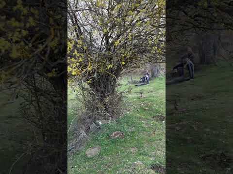 Видео: 16 март 2025 г.