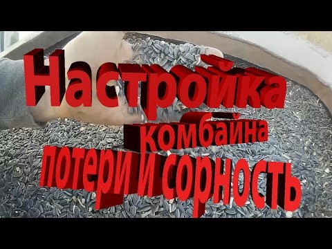 Видео: Настройка комбайна, контроль потерь и чистоты зерна подсолнечника в бункере"