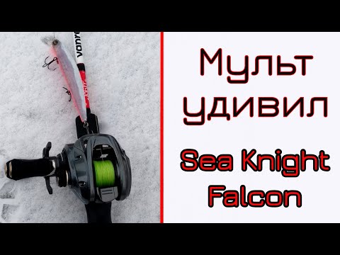 Видео: Мульт Seaknight Falcon. Катушка с АлиЭкспресс из Китая! Тест на воде