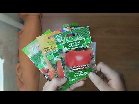 Видео: Обзор низкорослых томатов 🌱🌸