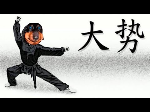 Видео: DAWG ПРО УШУ И ЛАГЕРЯ (детские)