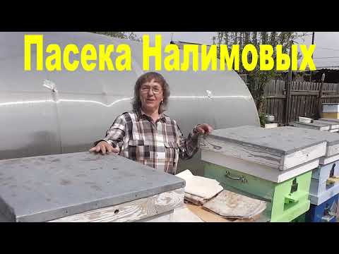 Видео: Холстик или плёнка.  Что лучше для пчёл?
