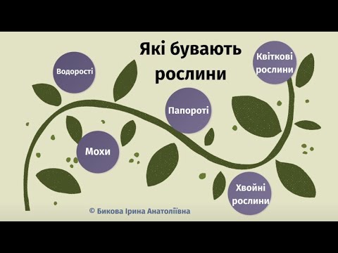 Видео: Які бувають рослини