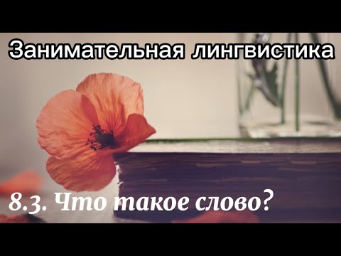 Видео: 8.3. Что такое слово?