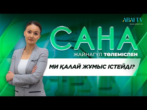 Видео: САНА. Ми қалай жұмыс істейді?