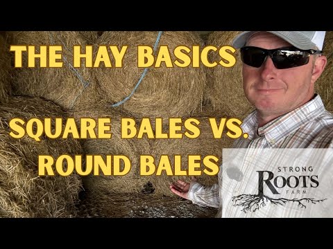 Видео: Кормление сеном: 101. Основы для начала