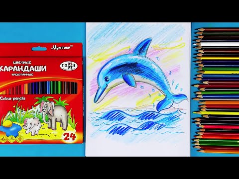 Видео: Рисуем ДЕЛЬФИНА цветными карандашами