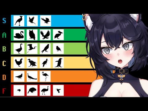 Видео: Список BIRD Tier | Реакция на Tier Zoo
