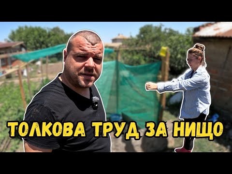 Видео: Проблеми със зеленчуковата градина | Къде сгрешихме | Милчеви БГ