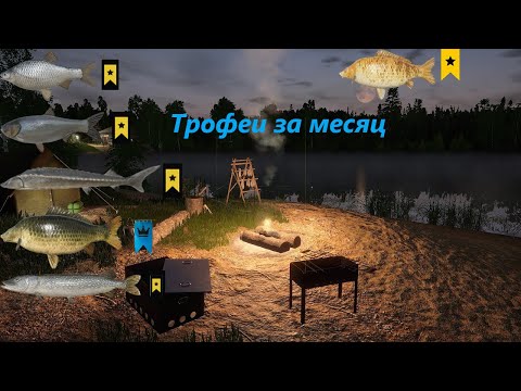 Видео: #РР4 Трофеи за месяц. Редкие трофеи, призраки и многое другое )