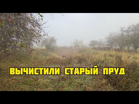 Видео: Вычистили, увеличили и углубили старый пруд фермера