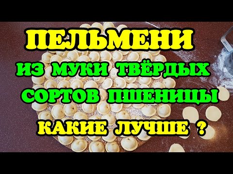 Видео: Пельмени из муки твердых сортов пшеницы.  Вареники с творогом