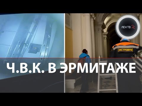Видео: Самый вольный кот Эрмитажа | Как ловили ночного хозяина Зимнего дворца