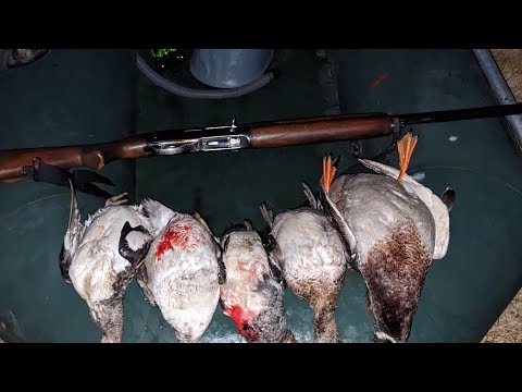 Видео: Охота на утку! Вечерка на озере! #охота #мц#hunting