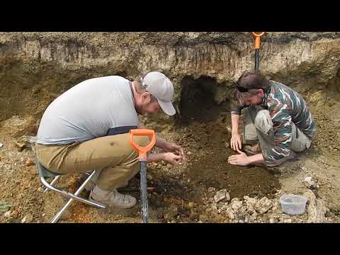 Видео: Поиск окаменелых останков морских пресмыкающихся мелового периода