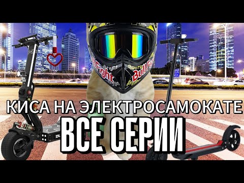 Видео: "КИСА КУПИЛА СЕБЕ ЭЛЕКТРОСАМОКАТ" ВСЕ СЕРИИ 🛴 | КИСА НА ЭЛЕКТРОСАМОКАТЕ 