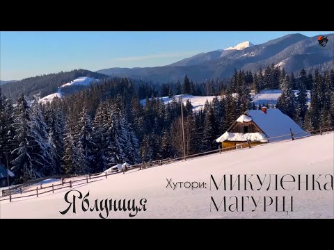 Видео: Микулєнка та Магурці - гірські хутори біля Буковелю, де ще можна купити землю та хату.