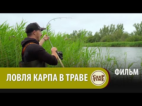 Видео: Карпфишинг ЛЕТОМ! Ловля КАРПА в ТРАВЕ с Хэри ФИЛЬМ