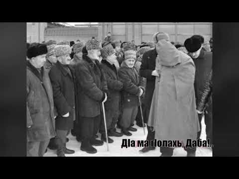 Видео: ДIа ма гIолахь, Даба!..ДИЙЦАР