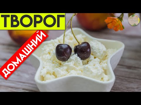 Видео: ТВОРОГ из кефира в домашних условиях / Uy sharoitida kefirdan TVOROG