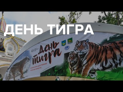 Видео: День тигра-2021
