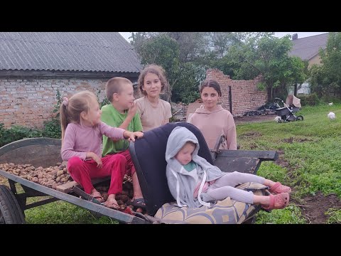 Видео: Мотоблок в роботі . Викопали картоплю. Діти допомогають.