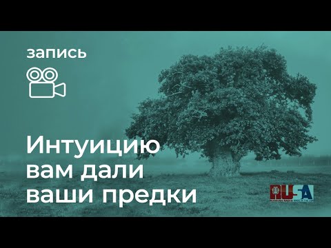 Видео: Александр Литвин: Интуиция - безусловный рефлекс